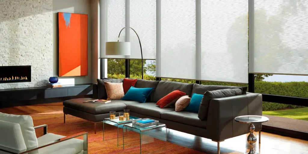 Hunter Douglas Roller Shades in Living Room Windows