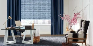hunter douglas roman shades in study