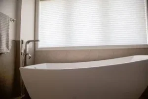 Hunter Douglas Duette Shades Closeup