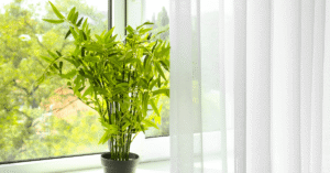 Window Treatment Ideas