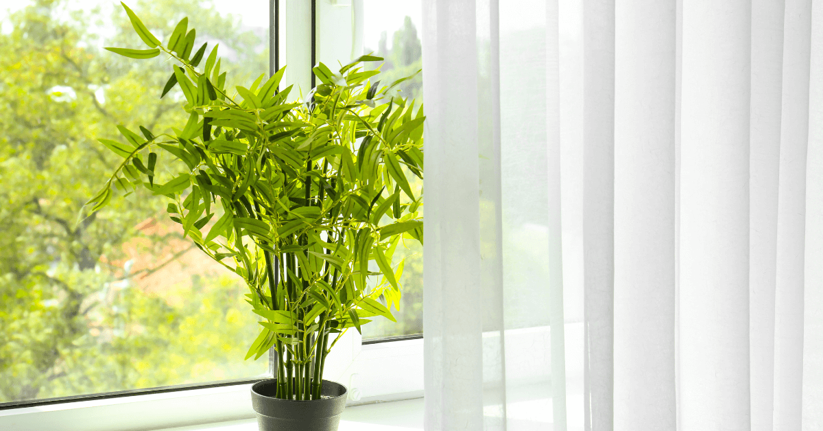 Window Treatment Ideas