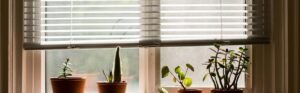 custom blinds for odd-shaped windows