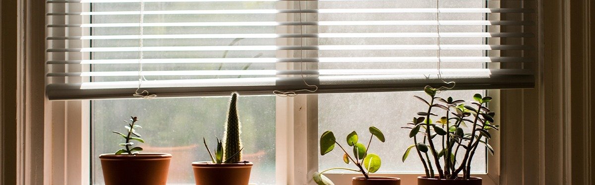 custom blinds for odd-shaped windows